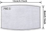 20pack PM 2.5 Activated Carbon Filter Insert Ship from USA …