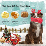 NOUGAT Dog Toys for Aggressive Chewers Large Breed, Squeaky Dog Toys
