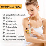 Dry Brushing Body Brush, POPCHOSE Natural Bristle Dry Skin Exfoliating Brush Body