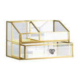 Clear Glass & Brass Metal Cosmetics Storage Display Case,Cosmetic Organizer,Glass Makeup Storage,for Countertop Bathroom Vanity Dresser Ideal Gift (GOLD-X)