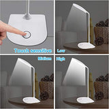 DEEPLITE LED Desk Lamp with Flexible Gooseneck 3 Level Brightness, Battery