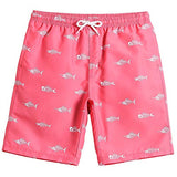 MaaMgic Boys 2T Swim Trunks Toddler Swim Shorts Little Boys Bathing Suit Swimsuit