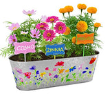 Paint & Plant Flower Growing Kit - Kids Gardening Science Gifts for Girls and Boys