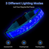 Tekkery Light Up Dog Collar, Glowing Pet Dog Collar for Night Safety with USB