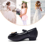 STELLE Girls Mary Jane Glitter Shoes Low Heel Princess Flower Wedding Party Dress