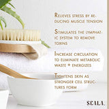 Wet and Dry Body Brush Exfoliator - Soft Bristle Brush Naturally Exfoliates Dead Skin