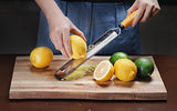 Citrus Zester & Cheese Grater,Sharp Stainless Steel Blade, Wide, Dishwasher Safe