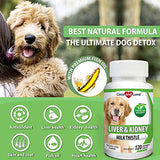 Milk Thistle for Dogs, Liver Support for Dogs, Detox, Hepatic Support, Promotes Liver