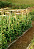 GROW!T HGBB2 - 2 Foot Long Bamboo Stakes, Natural Finish, (Pack of 25) - Strong