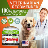 Glucosamine Treats for Dogs - Joint Supplement w/ Omega-3 Fish Oil - Chondroitin