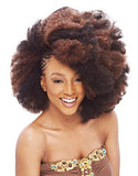 6 Pack of Janet Collection Synthetic Hair Braids Noir Afro Kinky Bulk 24