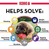 KONG - Classic Dog Toy, Durable Natural Rubber- Fun to Chew, Chase and Fetch