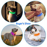 Tekkery Light Up Dog Collar, Glowing Pet Dog Collar for Night Safety with USB