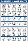 Palace Learning Dumbbell Workout Exercise Poster - Free Weight Body Building Guide