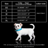 Tekkery Light Up Dog Collar, Glowing Pet Dog Collar for Night Safety with USB