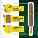 Totem Monkey Moss Pole - 26.4 Inch Coir Totem Plant Support - 2 Coco Sticks