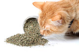 Cat Crack Catnip, Premium Blend Safe for Cats, Infused with Maximum Potency