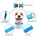 Tekkery Light Up Dog Collar, Glowing Pet Dog Collar for Night Safety with USB