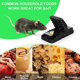 Mouse Trap Mice Trap That Work Human Power Mouse Killer Mouse Catcher