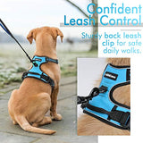 rabbitgoo Dog Harness, No-Pull Pet Harness with 2 Leash Clips, Adjustable Soft Padded