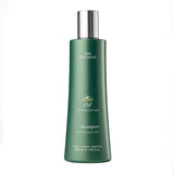 Olive Oil Shampoo - Regis DESIGNLINE - Fortified with Olive Oil and Rich in Vitamins E and K to Help Protect Hair from Environmental Damage (10.1 oz)