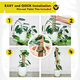 Totem Monkey Moss Pole - 26.4 Inch Coir Totem Plant Support - 2 Coco Sticks