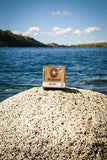Dr. Squatch Bay Rum Soap 2-Pack Bundle – Men's Naturally Fresh Scented Natural Bar