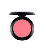 Mac Powder Blush LIFE'S A PICNIC ~ Flamingo Park Collection