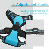 rabbitgoo Dog Harness, No-Pull Pet Harness with 2 Leash Clips, Adjustable Soft Padded