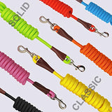 MayPaw 4FT/6FT/8FT/10FT Dog Leash, Classic Solid Colors, Durable Mountain Climbing