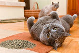 Cat Crack Catnip, Premium Blend Safe for Cats, Infused with Maximum Potency