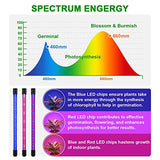 EZORKAS 9 Dimmable Levels Grow Light with 3 Modes Timing Function for Indoor Plant