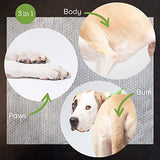 Earth Rated Dog Wipes, 100 Plant-Based and Compostable Wipes for Dogs