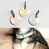 Personalized Dog Tag Pet Collar Tag Dog ID Tag Cat Collar New Dog Gift