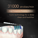 Electric Toothbrush,Replaceable Smart Timer Powered by Sonic Technology Waterproof Rechargeable Toothbrush,Deep Clean Traveling Tooth Brush with 3 Soft Brush Heads by SEAGO SG986(Purple)