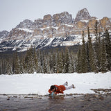 LifeStraw Personal Water Filter for Hiking, Camping,Travel, and Emergency Preparedness