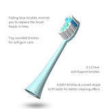 Yunchi Y7 Sonic Electric Toothbrush, Portable Ultrasonic Tooth Brush with Timer, 5 Modes, 10 Brush Heads, 45 Days Long Lasting, IPX7 Waterproof for Adults & Kids - Mint Green
