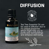 Soulflower Essential Oils (Tea Tree)