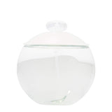 Cacharel Noa Eau de Toilette Splash, 3.4 Ounce
