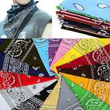 12pcs Bandanas 22 X 22 Inch 100% Cotton Novelty Double Sided Print Paisley