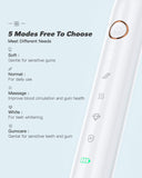 Sonic Toothbrush,Electric Toothbrushes for Adults, Rechargeable Whitening Toothbrush for 60 Day Use,8 Dupont Brush Heads,5 Modes , 2 Minutes Smart Timer ,Waterproof Powerful Electric Toothbrushes