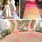 BESKIT 3000 Pieces Rose Petals Artificial Flower Silk Petals for Valentine Day Wedding Flower