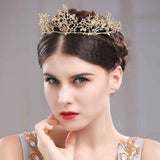 Drecode Bridal Crowns and Tiras Gold Rhinestones Dragonfly Crown Crystal Bride Hair Accessories for Women and Girls