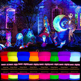 Premium Glow in the Dark Acrylic Paint Set by neon nights