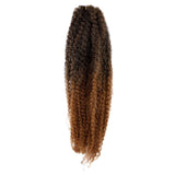 Femi Collection Marley Braid 100% Kanekalon Flame Retardant (#OMBRE 2T30) + 1 Free Nail Polish