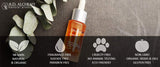 100% Natural & Organic Blemish Pen - Best Acne Spot Treatment Great for Redness & Inflammation due to Pimples/Blemishes. Acne Fighting Retinol & Dragon's Blood Give a Quick Pimple Spot Treatment.