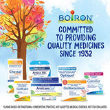Boiron Arnicare Bruise 1.5 Ounce (Pack of 1) Topical Bruise Relief Gel