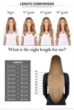 Sunny Clip in Hair Extensions Human Hair 14 Inch Double Weft Clip in Extensions Light Brown Highlights Blonde Hair Extensions Clip in Human Hair 7pcs 120g