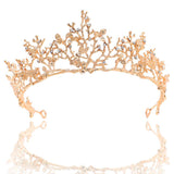 Drecode Bridal Crowns and Tiras Gold Rhinestones Dragonfly Crown Crystal Bride Hair Accessories for Women and Girls