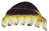 Camila Paris CP2379 French Hair Clips for Women, Medium Brow and Clear, Girls Hair Claw Clips Jaw Fashion Durable and Styling Hair Accessories for Women, Made in France with Cellulose